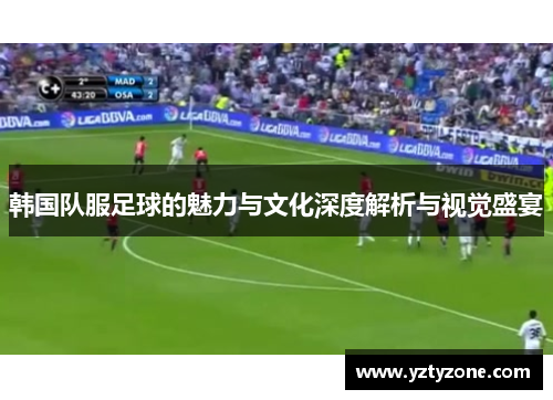 韩国队服足球的魅力与文化深度解析与视觉盛宴
